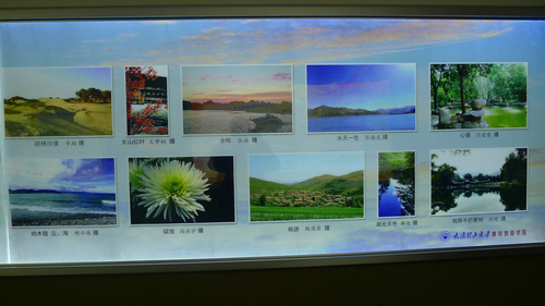 继续教育学院第二届职工摄影比赛