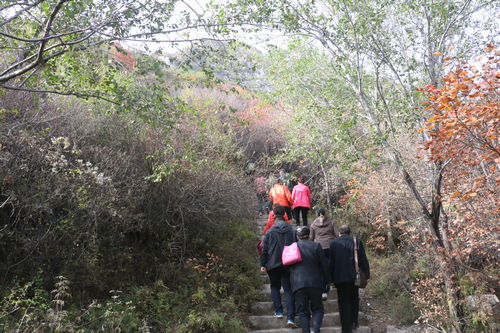 机械工程学院工会组织教职工会员赴崛围山秋游 机械工程学院工会组织教职工会员赴崛围山秋游