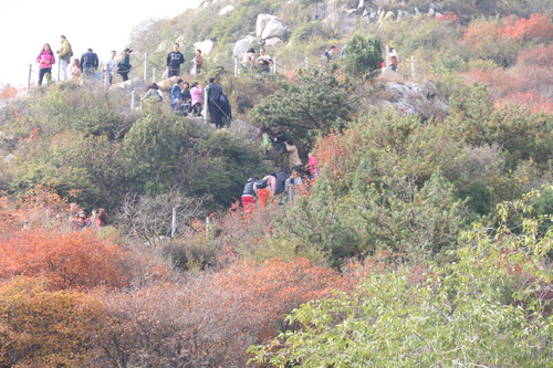 机械工程学院工会组织教职工会员赴崛围山秋游 机械工程学院工会组织教职工会员赴崛围山秋游