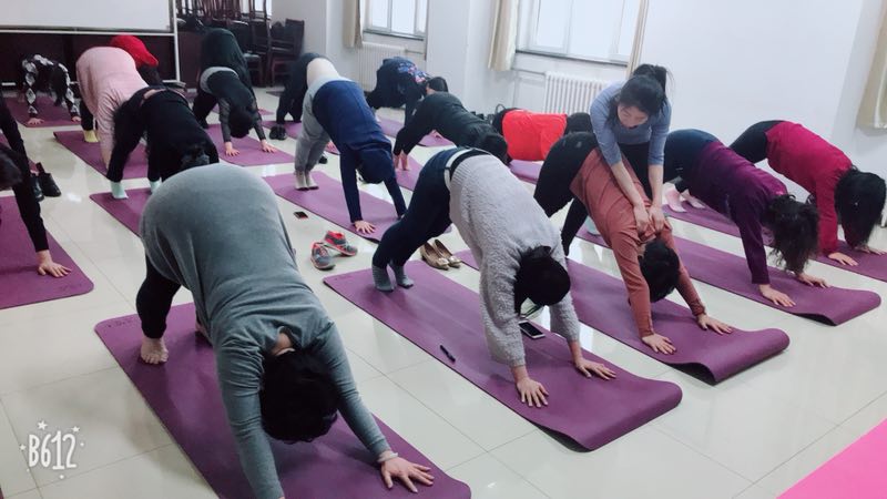 经管学院三八节“我型我塑健康女神”瑜伽体验课 经管学院三八节“我型我塑健康女神”瑜伽体验课